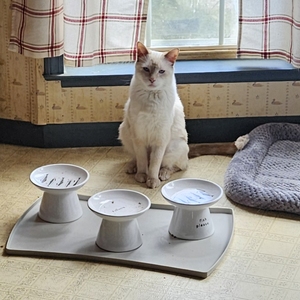 Fundraising Page: Mindy Malinowski